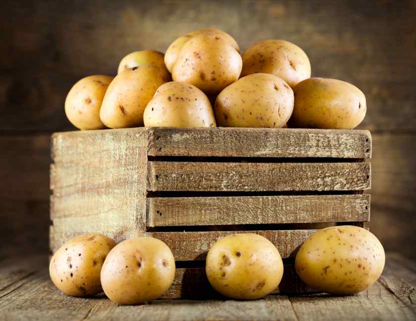Лучшие сорта картофеля для выращивания в Беларуси